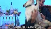 陪伴克莱13年的小狗去世了，不敢相信克莱得多么伤心