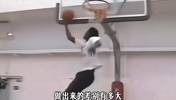 同样是在空中做动作，不同水平的球员做出来的差别有多大？🏀