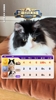 詹俊的猫预测世界杯赛果100%准确😱,今晚预测法国、挪威胜